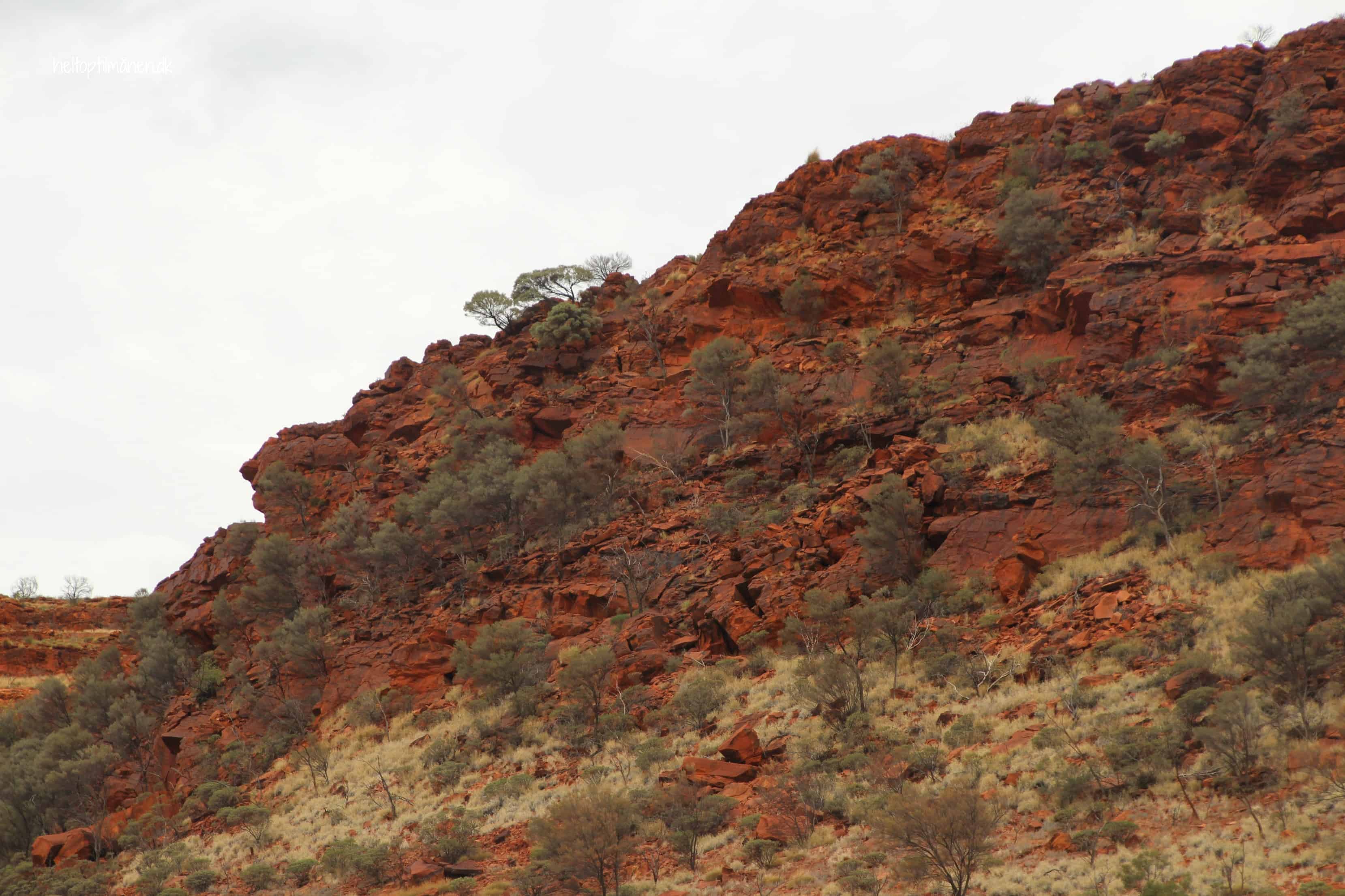 Alice Springs Desert Park