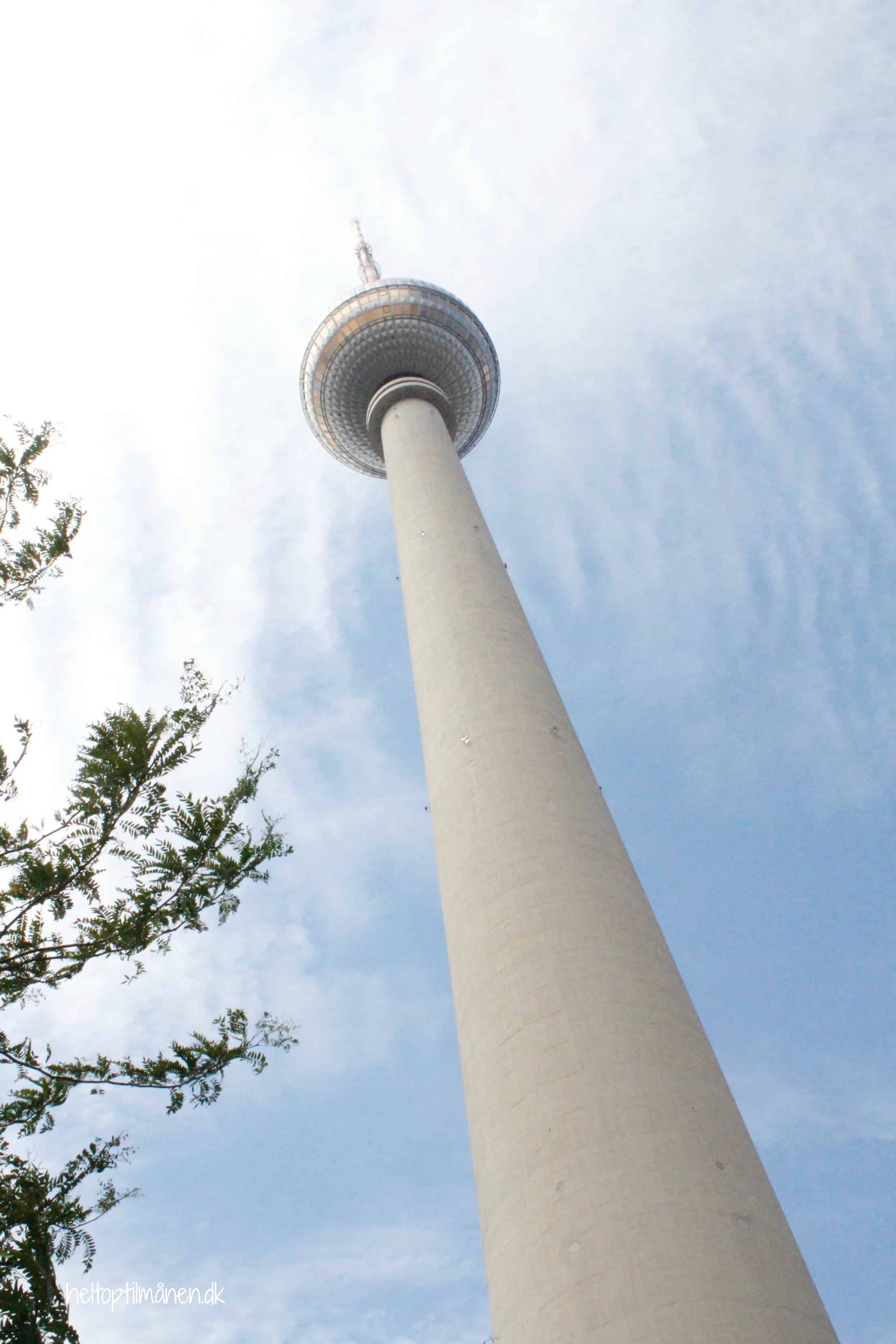 Berlin i børnehøjde
