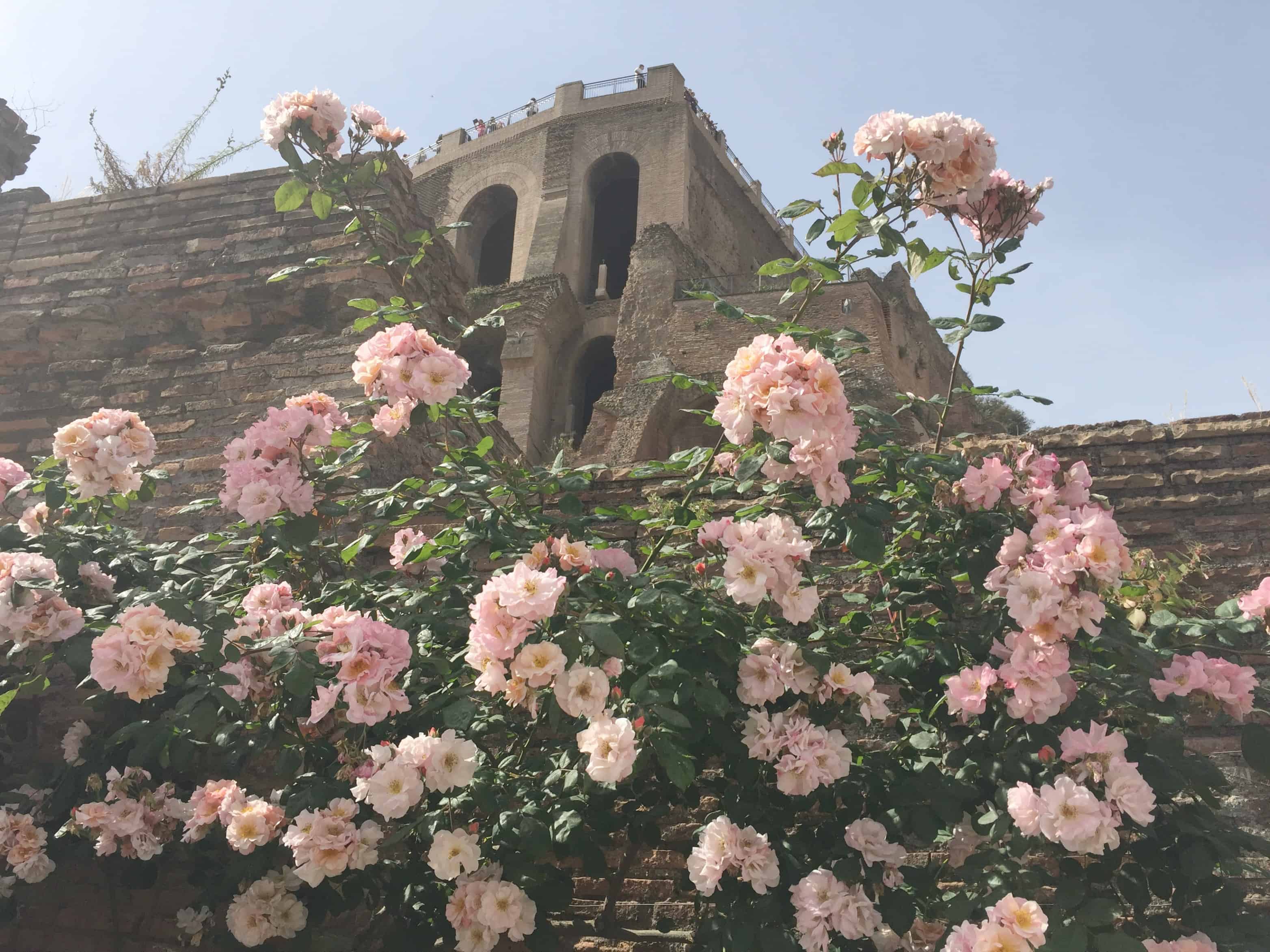 Fantastisk kærestetur til Rom