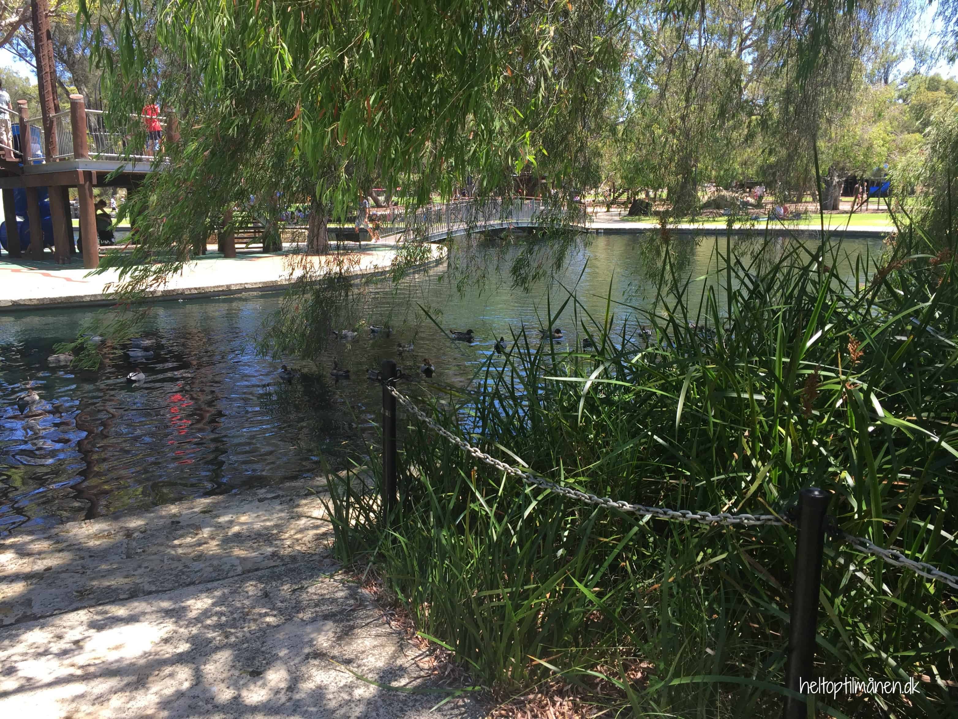 Kings Park