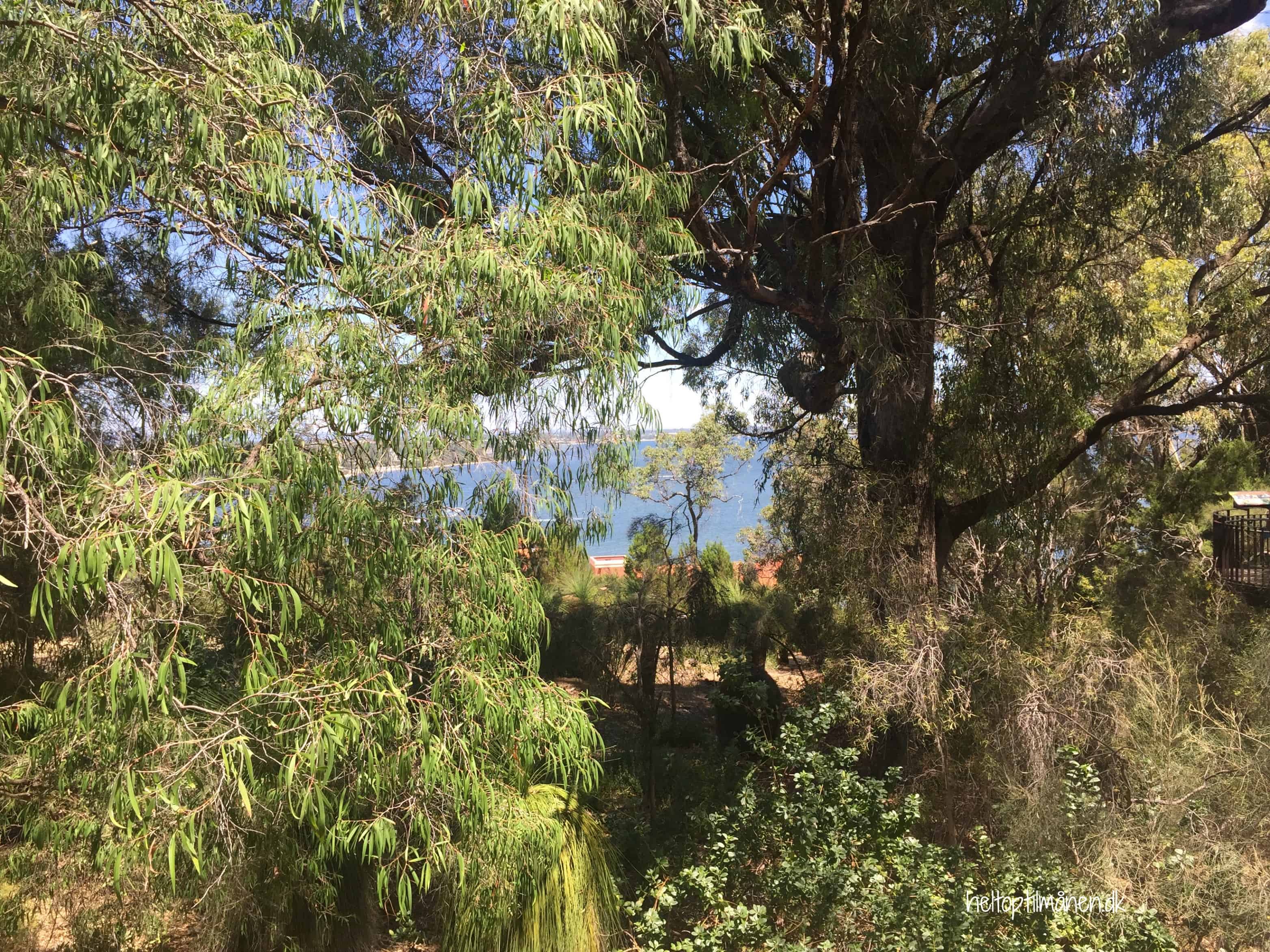 Kings Park