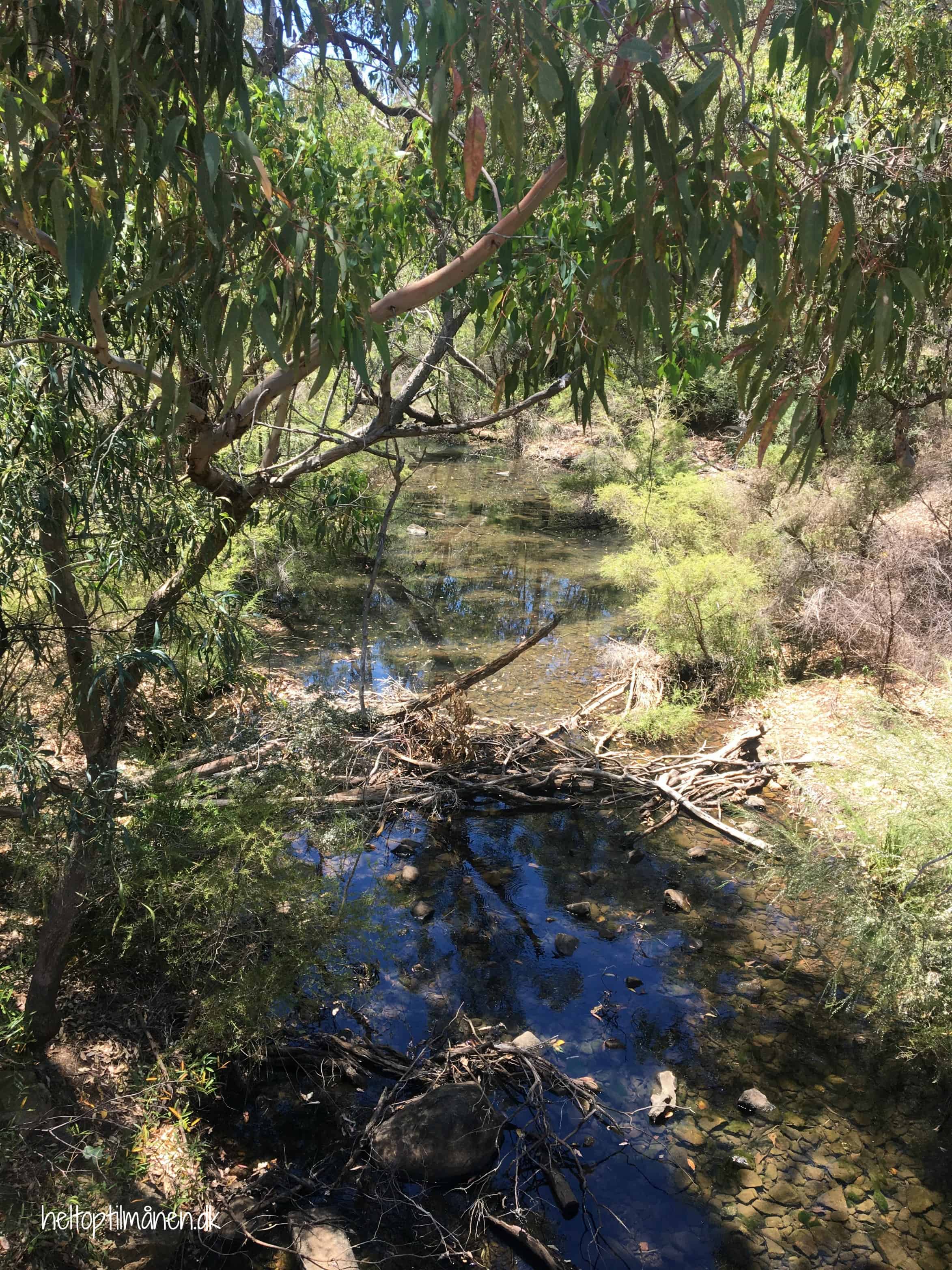Serpentine Falls