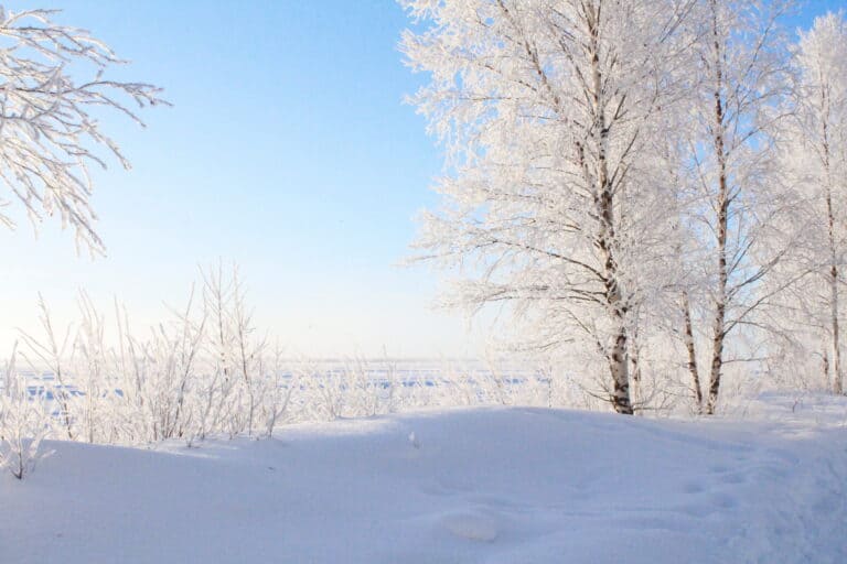Vinterferie i Lapland